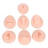 Silicone Body Part Model Soft Silicone Ear Mouth Nose Eye Tongue Navel Model with Display Rack for Teaching Display Practice