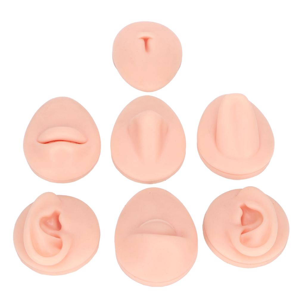 Silicone Body Part Model Soft Silicone Ear Mouth Nose Eye Tongue Navel Model with Display Rack for Teaching Display Practice