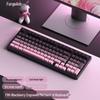 RuiYi F98 Wired 98-Key Mechanical Keyboard, Hot-Swappable, Side-Printed, Full-Key Anti-Ghosting, Office/Gaming.