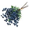 Blueberry color