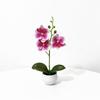 Butterfly Orchid Artificial Plant Home Decor With Plastic Leaves For Living Room And Office