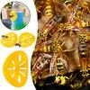 20-5Pcs Reusable Wasp Trap Insect Funnel Killer Flower Bee Hornet Catcher Plastic Bottle Wasp Traps Garden Pest Control Tool