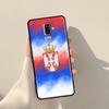 Cool Serbia Flag Cover For Samsung Galaxy J4 J6 Plus 2018 A6 A7 A8 A9 J8 J1 2016 A3 A5 J3 J7 J5 2017 Case