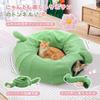 PAWZ Road Cat Tunnel Bed, Cat Toy, Large Donut, Round, Cactus, Flower, 3-Way Folding, Popular, Cute, Easy To Assembly, Easy To Store, Durable, Space-S