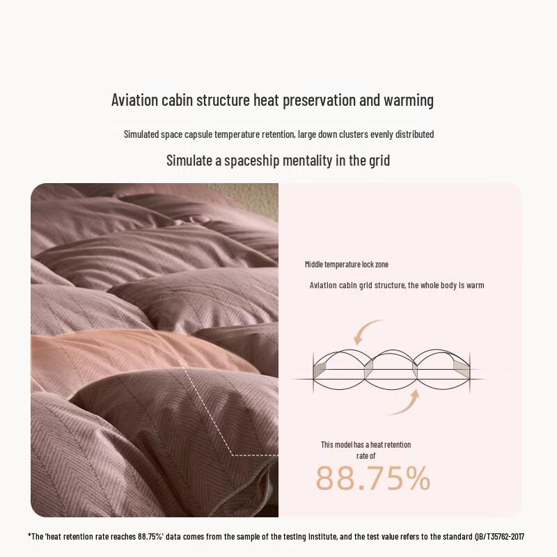 Luolai x JDear Starry A-Class 95% Washed Goose Down Winter Quilt