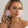 Long Feather Drop Earrings Eye Catching Decoration Ear Jewelry Suitable For Parties Concerts And Festive Celebrations