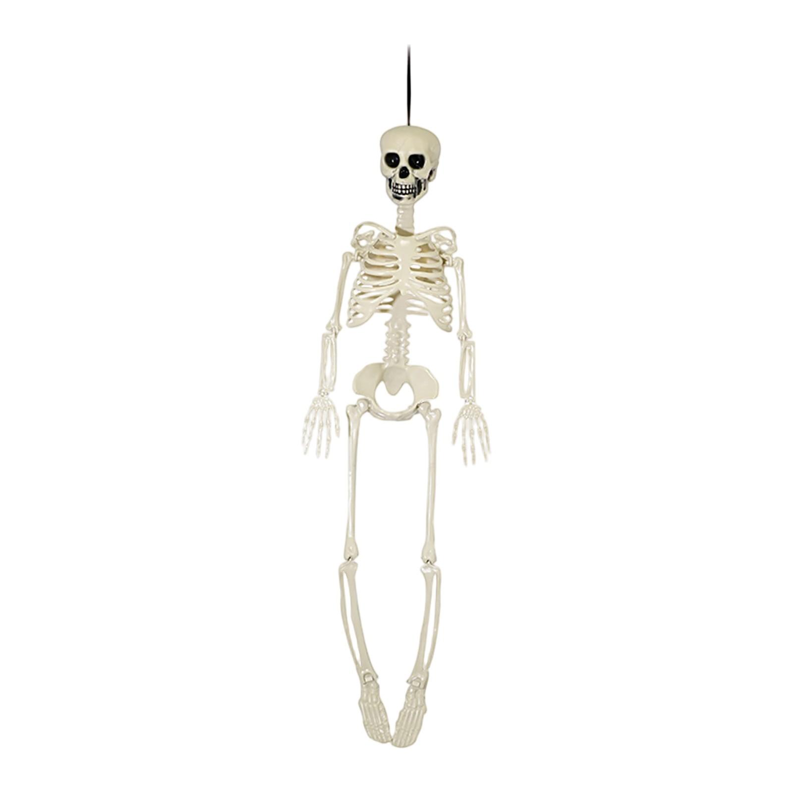 

Skeleton Decoration, Horror Atmosphere Decoration, Can Be Hung Or Placed In Garden Movable Joints. One Size белый
