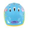 Safety Helmet