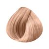Coloração de cabelo – Tintas e oxidantes de cabelo