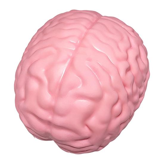 

1/2Pcs Giant Simulation Brain Squeeze Toy Stress Relief Pink Brain Sensory Toy Decompression Slow Rising Realistic Brain Fidget Toy 1pc