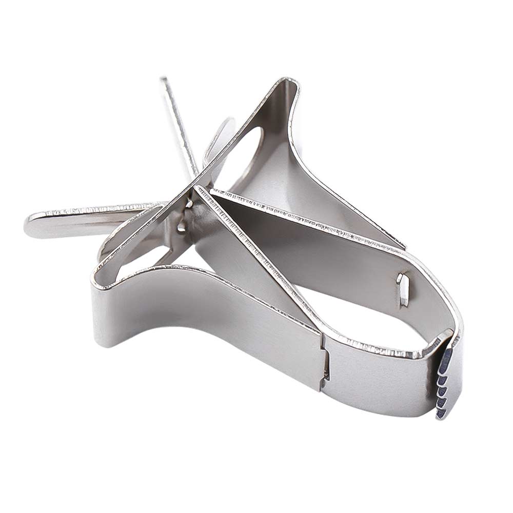 Conure Budgie Cage Accessories Vegetable Fruit Stainless Steel Clip Feeding Clamp Parrot Feeder Bird Food Holders