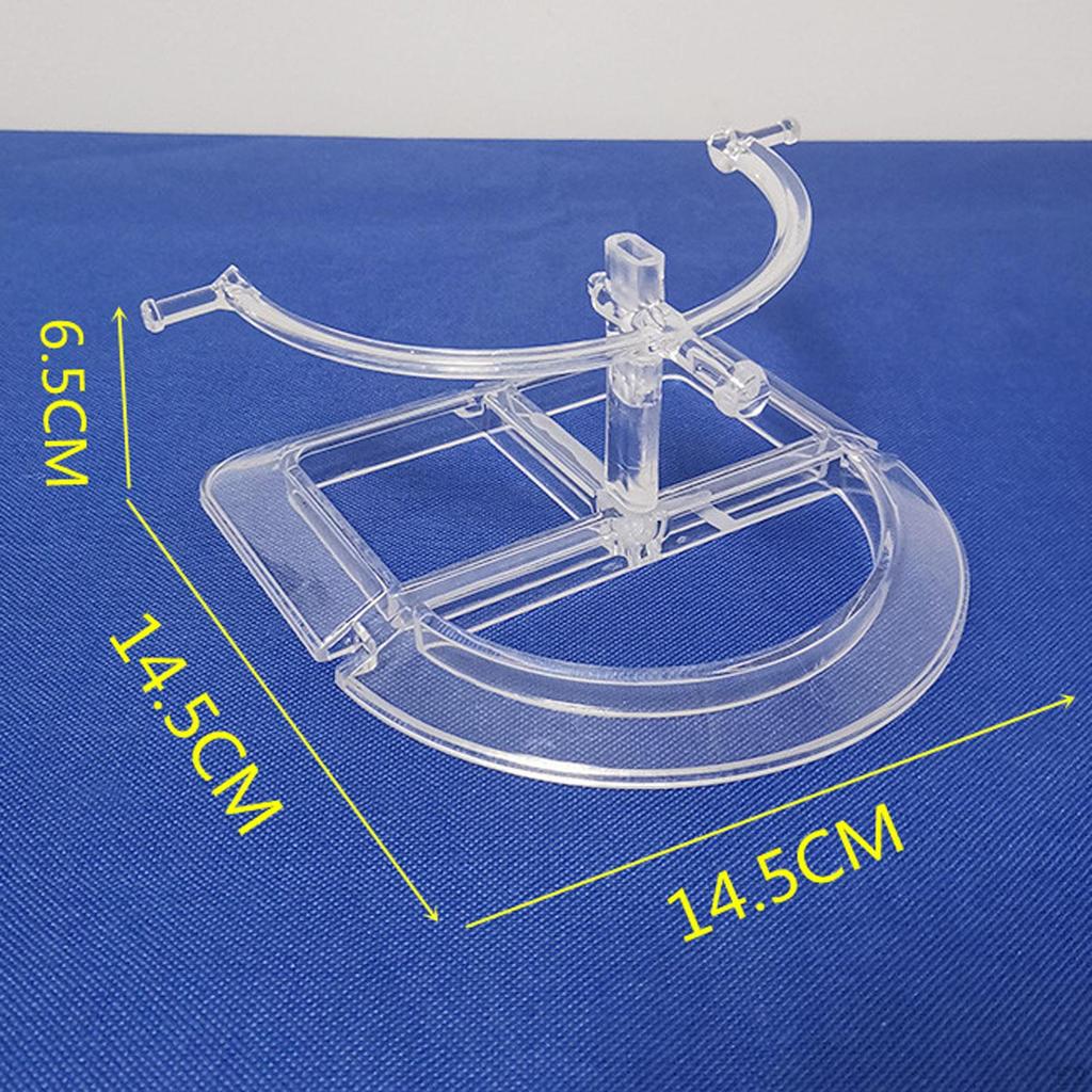 Acrylic Eyeglasses Holder Stand Sunglasses Rack Decorative Eyewear Glasses Organizer