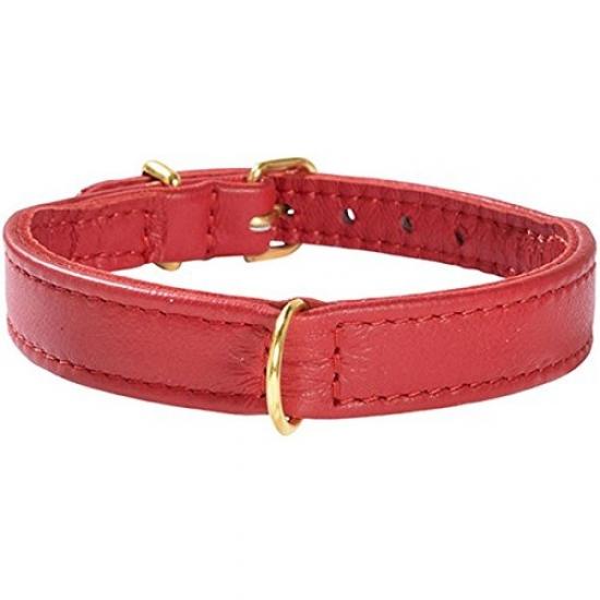 bobby dog collar