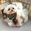 1 Stück Automatischer Faltregenschirm - Winter-Hundemuster, Tragbares & Faltbares Design mit 8 Speichen, Weihnachts-Geburtstagsgeschenke