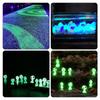 10Pcs  Ghost Princess Luminous Tree Elf Ornament, Luminous Alien Doll, Micro Landscape Anime Creative Small Ornament