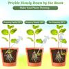 Self-Watering Glass Plant Globes-Iridescent Rainbow Gradient Watering System with Slow Release,for Indoor/Outdoor Potted Plants