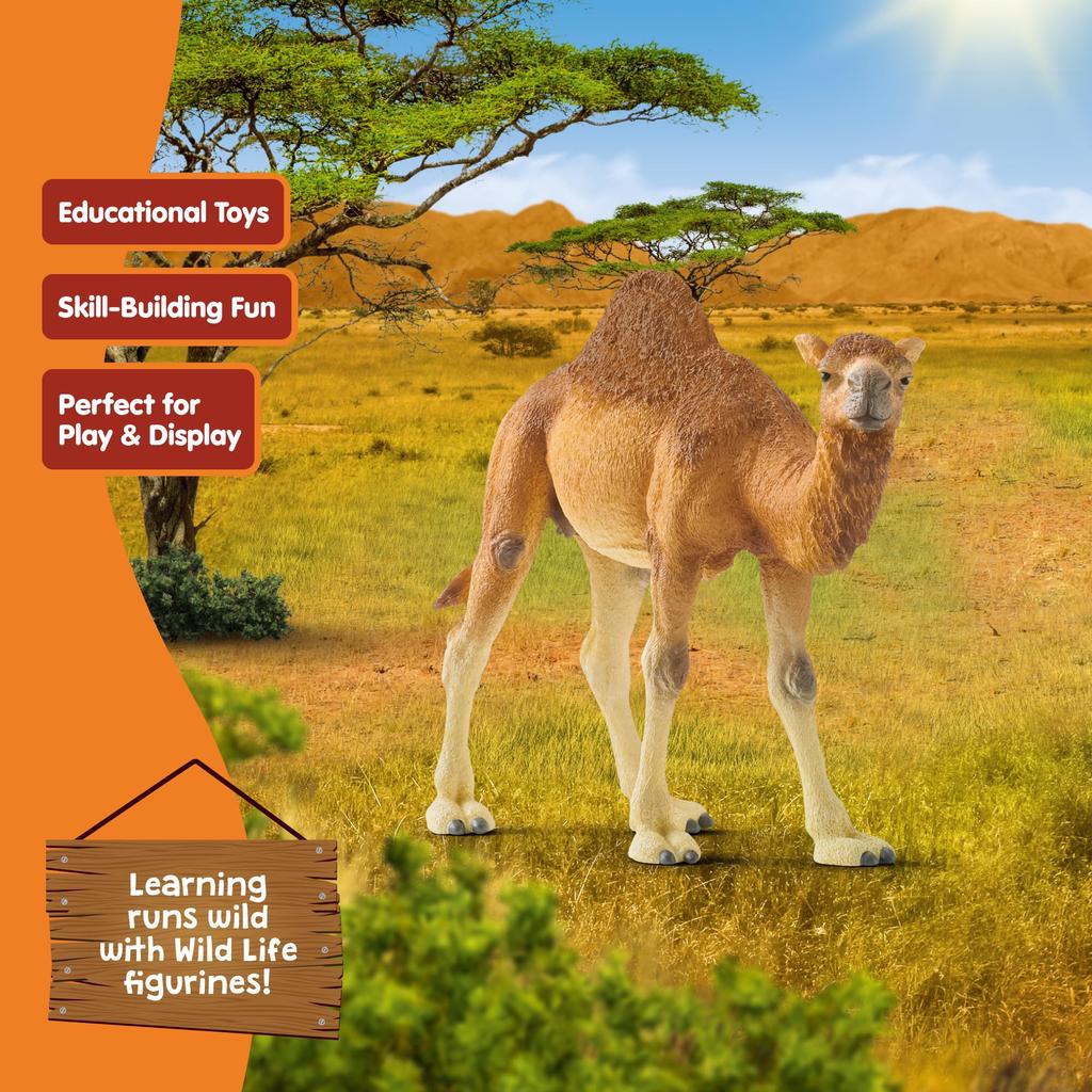 Schleich Wildlife Dromedary Figure 14832