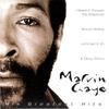 CD MARVIN GAYE His Greatest Hits GFS314 Going For A Son 2007 Europe SoulFunk Used