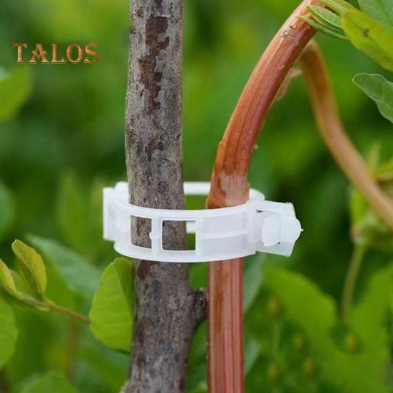 100/200/300 Stück Pflanzenklammern, Kunststoff-Pflanzenstützklammern, wiederverwendbare Tomaten-Spalierklammern für Kletterpflanzen, Weinreben, Gurken, für den Innen- und Außenbereich