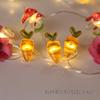 Easter Bunny & Carrot Mushroom LED Copper Wire String Lights - Battery Operated Decoration