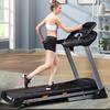 Junxia JX-690S Multifunctional Electric Treadmill CN Plug (adapter Included)