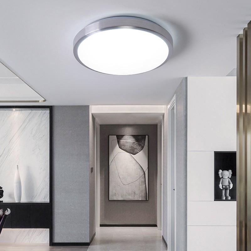 Modern LED Ceiling Light for Living Room and Bedroom