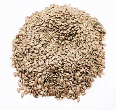 Nasiona Lnu 10 kg 100% Naturalne