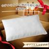 Iris Plaza Pillow, Low-Resilience Chip Urethane, Moderate Responsiveness, Reduces Head and Shoulder Pain, Distributes Body Pressure, Fits Well,