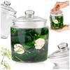 Set - 2x Glass Jar 1 L with Glass Lid