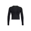 Under Armour UA Vanish Elite Solid Color Crew Neck Long Sleeve T-Shirt Women Tops Black 1383649-001