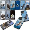 Bald Eagle Phone Cover for Apple iPhone 16 15 14 Plus 13 12 Mini 17 Pro Max + ProMax 16E Air Case