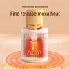 Hezheng Portable Smokeless Moxibustion Pot CN Plug (adapter Included)