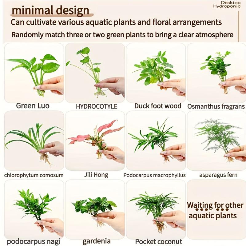 Cute Plants Propagation Stations Vases Glass Planters for Hydroponic Plants Garden Gifts Ceramic Kitten Frog Fishing Home Decor