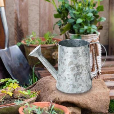 Antique Watering Can Vintage Design Metal Dried Flower Vase Decorative Jug Tabletop