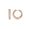 Luxenter Earrings In Zirconia with 18k Yellow Gold Finish - Taxaio