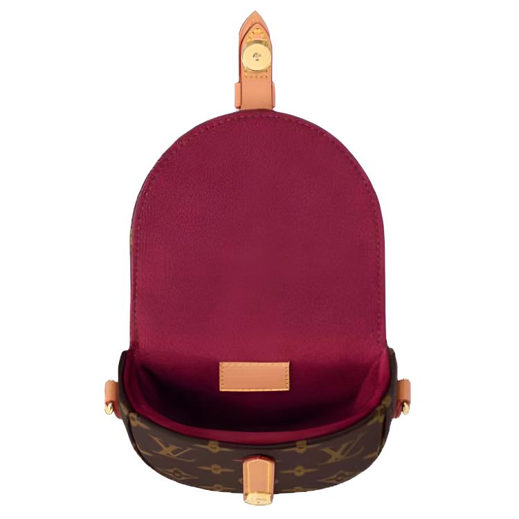 Louis Vuitton Monogram Canvas Saddle Bag With Detachable Shoulder Strap Mini Women Shoulder Bag Brown M46643
