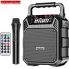 Newmine K503 Portable Bluetooth Karaoke Speaker CN Plug (adapter Included)