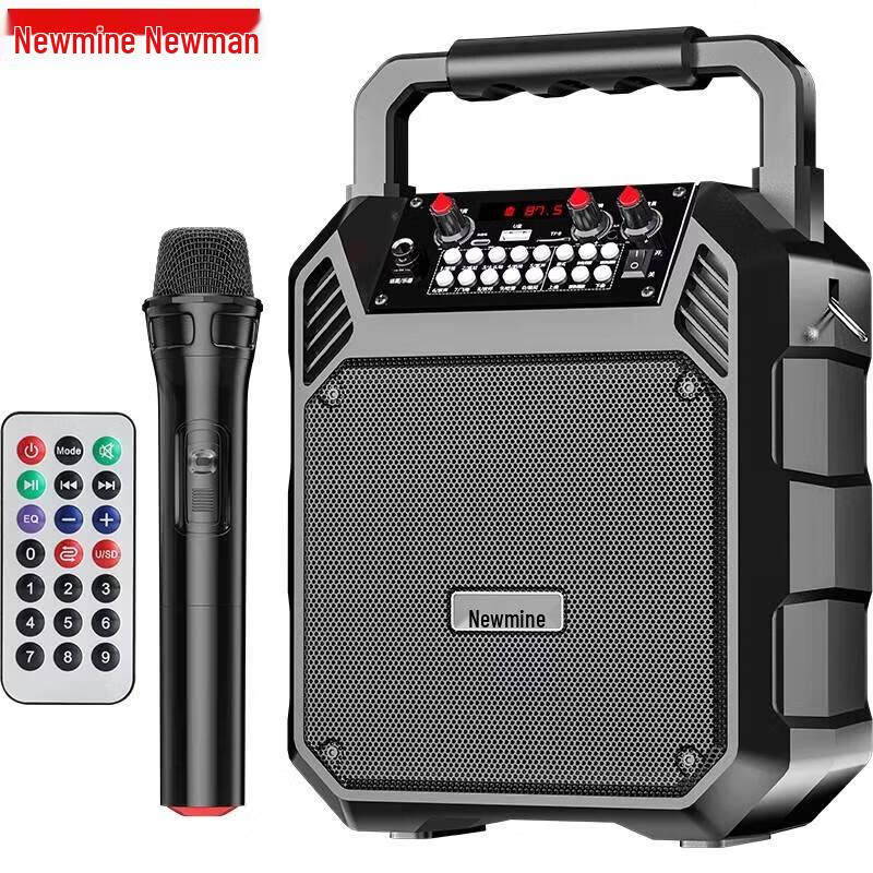 

Newmine K503 Portable Bluetooth Karaoke Speaker