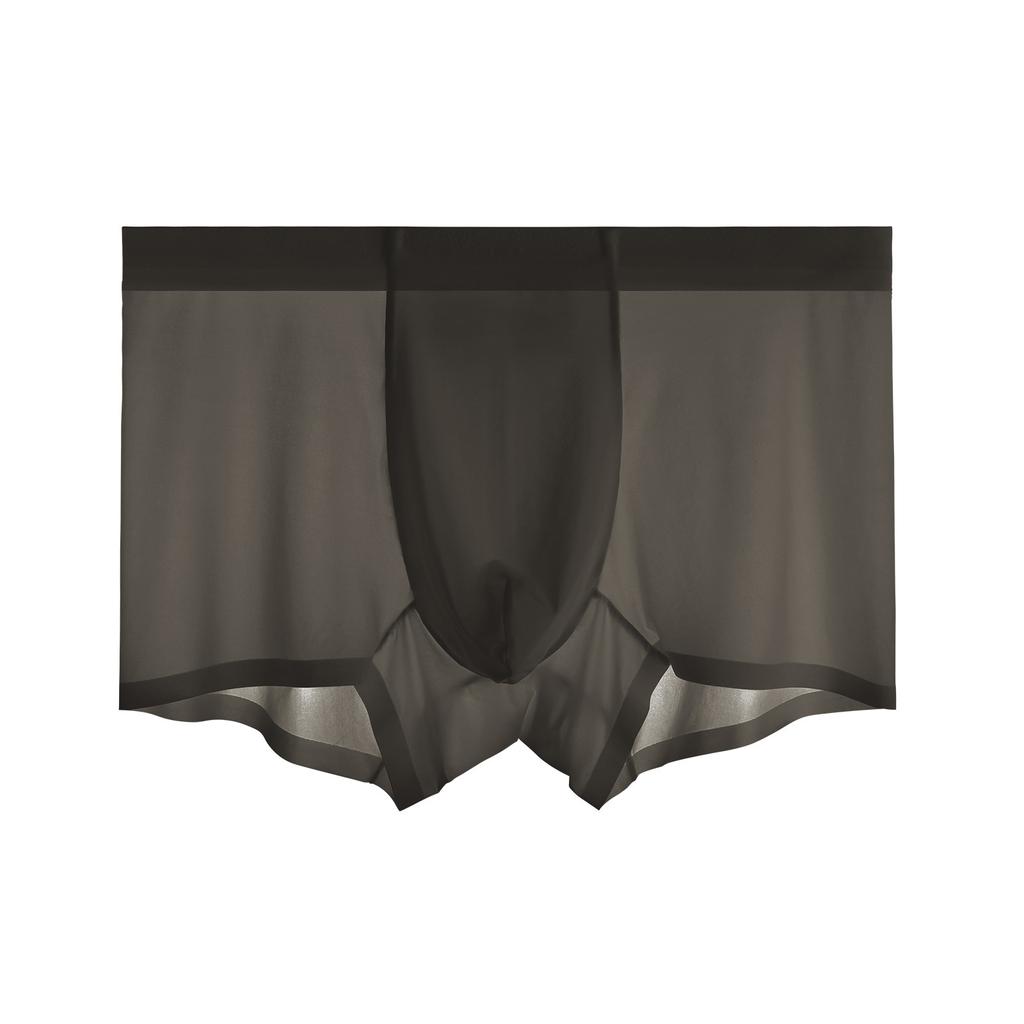 Summer Men Silk Cool Boxer Briefs Sexy Transparent Seamless Underwear