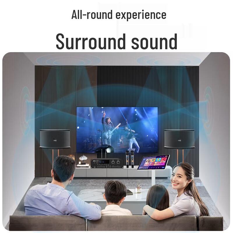 TEMEISHENG H21 Flagship Home Karaoke System CN Plug (adapter Included)