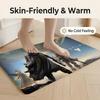 Floor Mat Soft Flannel Rug Non-Slip Absorbent Mat for Bathroom Bedroom Home Decor D-Destiny