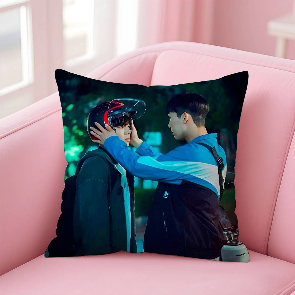 Hot Movie W-Weak Hero Class 1 Pillow Case Anti-Dustmite Pillowcase Invisible Zipper Silky Short Plush Sofa Cushion Cover