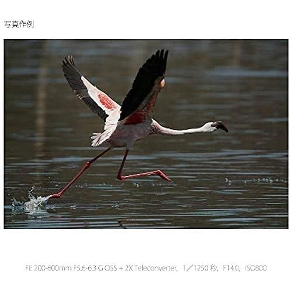 Sony G Lens Super Telephoto Zoom Lens FE 200-600mm F5.6-6.3 OSS for Full-Frame DSLR SEL200600G