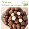 Extra-Large Thin-Shell Creamy Macadamia Nuts, 500g Jar