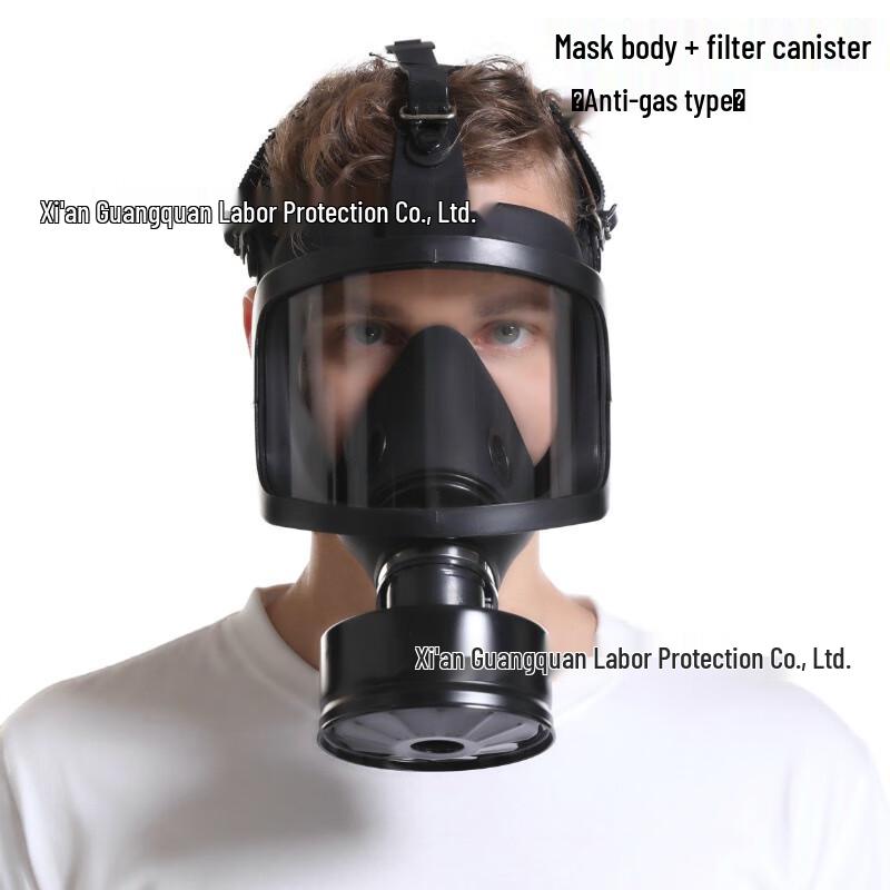 SANSHENG Full Face Gas Mask with Filter Cartridge Standard