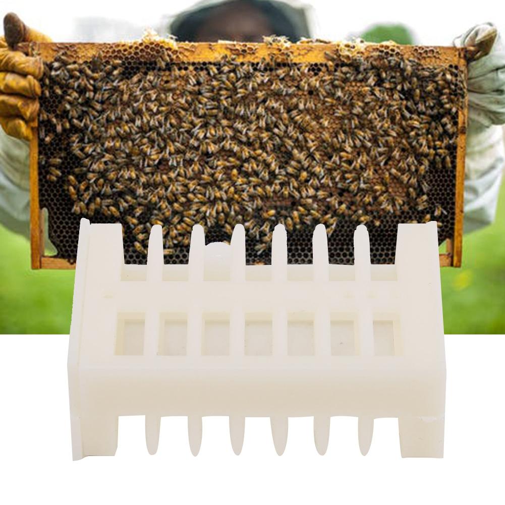100pcs Beekeeping Tool Plastic Bee Cage Foster Cups Prison King Bee House