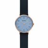Skagen AAREN NATURALS SKW2972 Women's Watch, Gray, Officially Imported