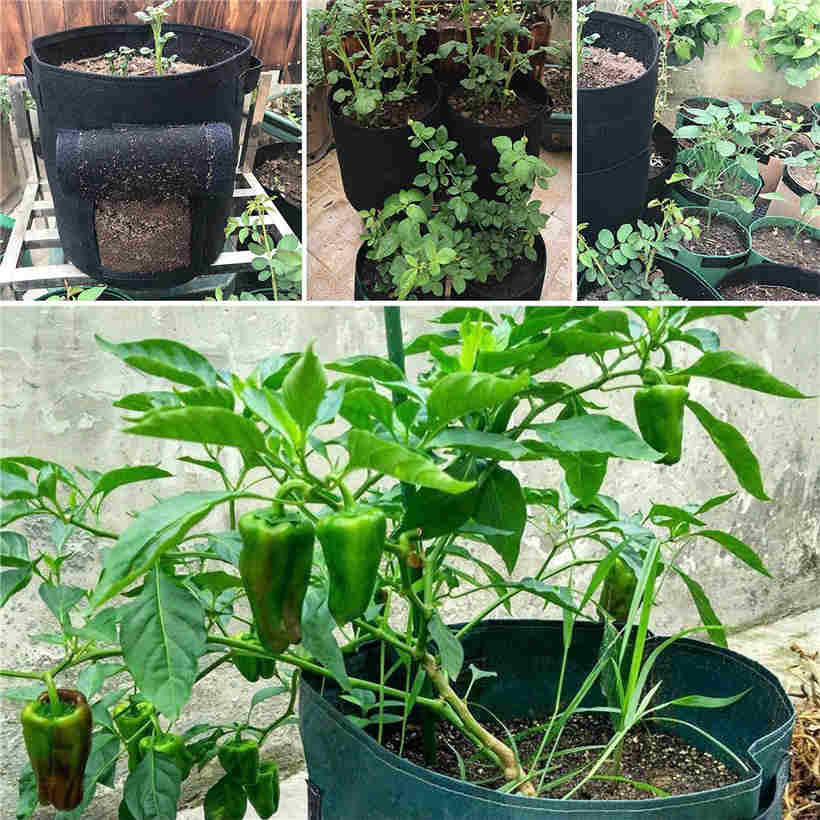 Felt Plant Potato Planting Bag Planting Bucket DIY Potato Tomato Planting Container Bag
