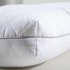 Mercury Home Textiles Cassia Seed Antibacterial Pillow