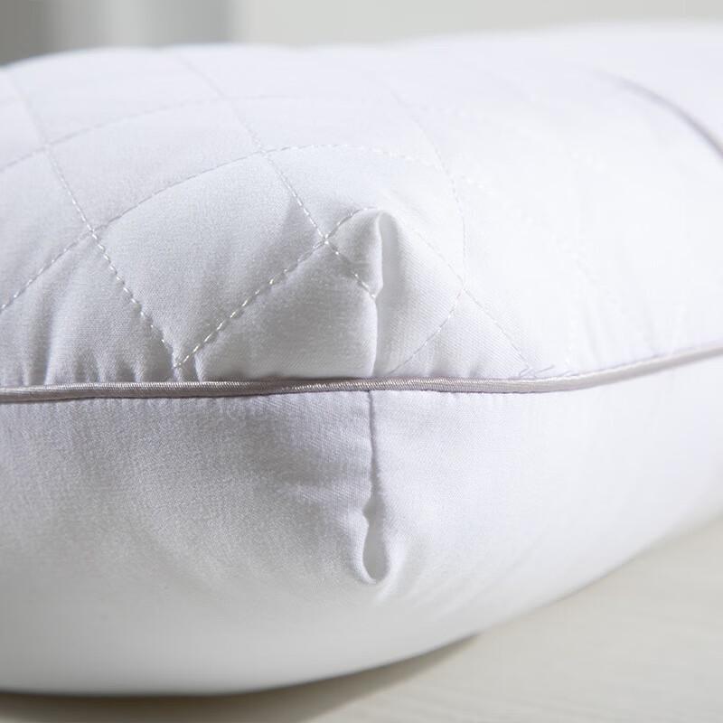 Mercury Home Textiles Cassia Seed Antibacterial Pillow